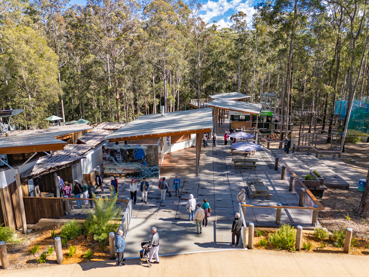 FCNSW-Guulabaa-July-2025-Forestry-Corporation-NSW-005