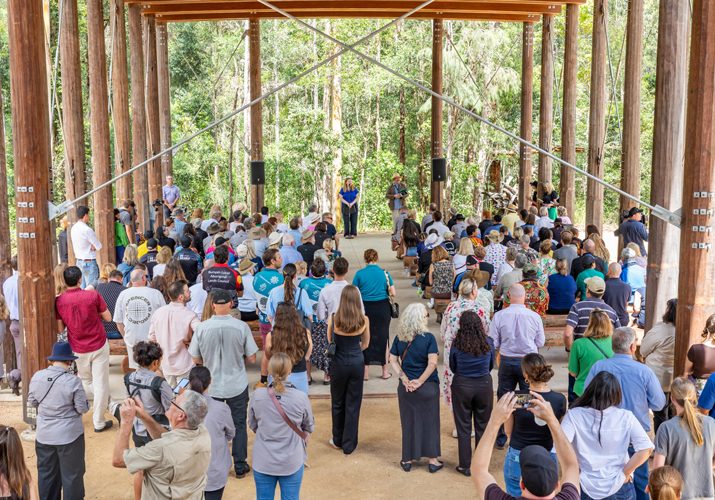 FCNSW-Guulabaa-Cowarra-SF-10-December-2024-Copyright-Forestry-Corporation-NSW-107