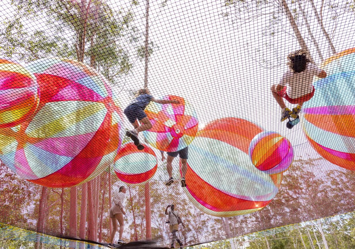 Wild Nets Playground