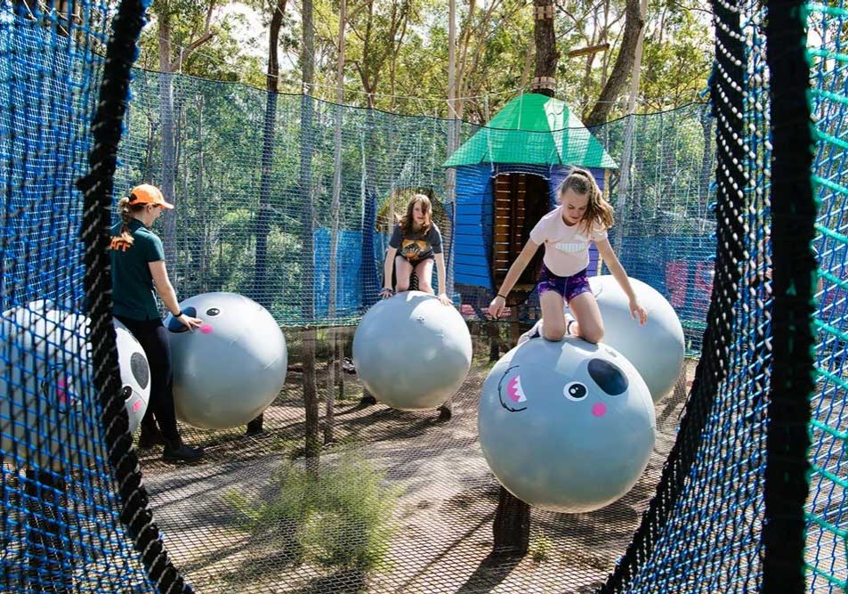 Wild Nets Playground